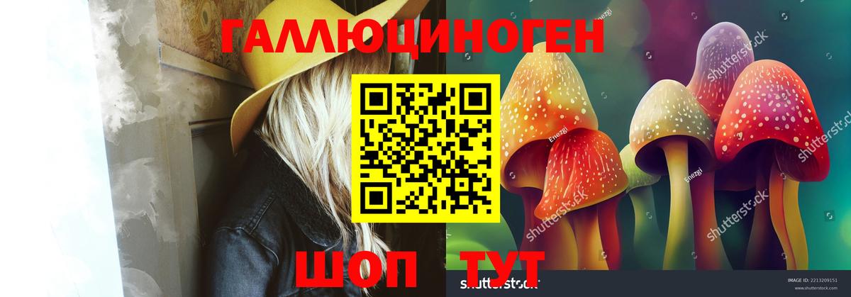 Галлюциногенные грибы Psilocybe  Вход с VPN  Урюпинск 